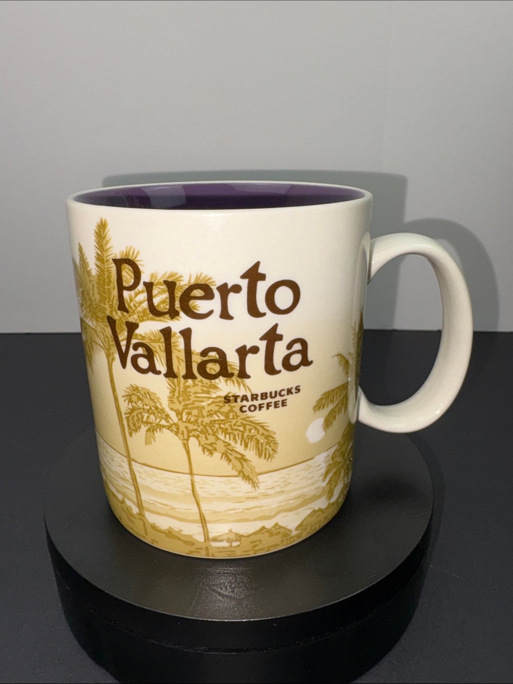 Starbucks Puerto Vallarta Mug 2014 Mexico Global Icon Collection